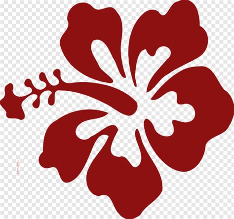 Hibiscus Flower Free Icon Library