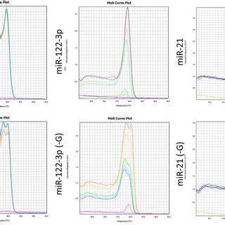 Discrimination Between Mature MiRNAs And Their Precursors To Identify