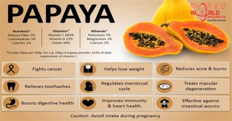 Is Ripe Papaya Good For Weight Loss - WeightLossLook