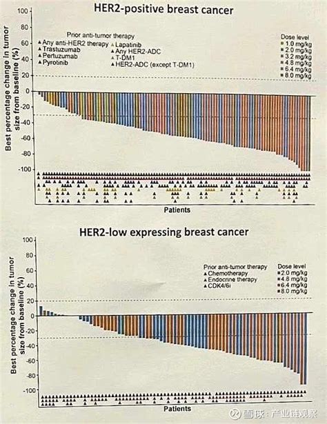 恒瑞医药sh600276 Shr A1811治疗her2和her2低的mbc。在所有剂量水平和之前接受过her 雪球