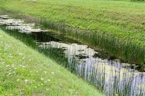 Ditch with Green Grass. Overgrown Ditch, Irrigation Ditch Cleaning