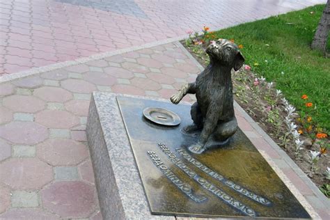 Памятник Бездомной Собаке в Тюмени (Россия) с фото и отзывами