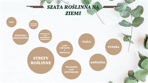 SZATA ROŚLINNA NA ZIEMI by Hania Dębska on Prezi Next