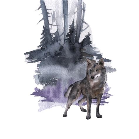 Siberia El Lobo Del Bosque Stock De Ilustraci N Ilustraci N De