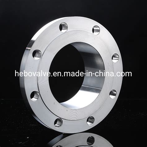 Asme B Forged Ss Stainless Steel Flange China Sanitary