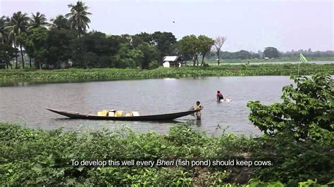 East Kolkata Wetlands Ecologists Perspective Youtube