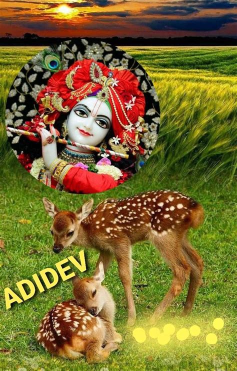 Pin By VENKAT GANESH On KRISHNA WITH DEER Deer Krishna