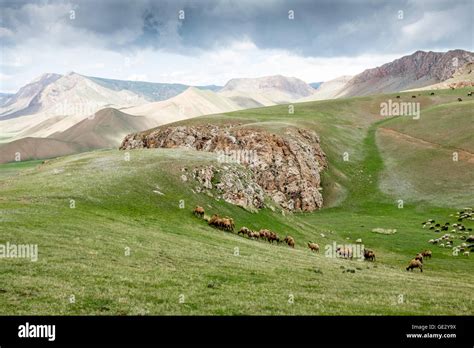 Kyrgyzstan Stock Photo Royalty Free Image 111932742 Alamy