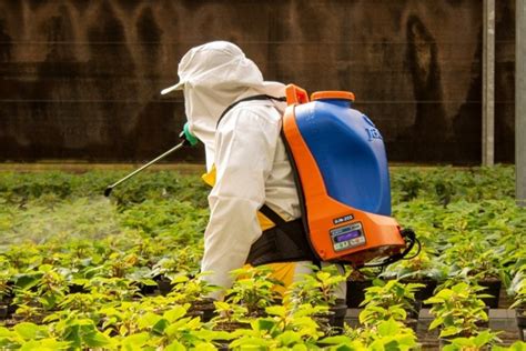 Fumigadora De Espalda Descubre Cu L Es La Mejor Opci N Para Tu