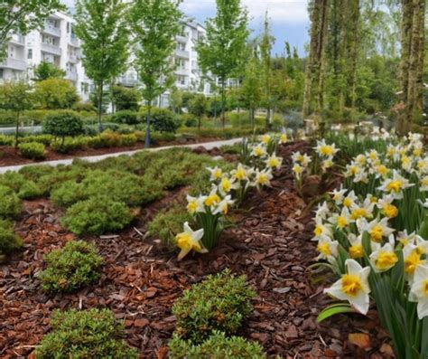 Wat Doet Boomschors In De Tuin Natuurproducten