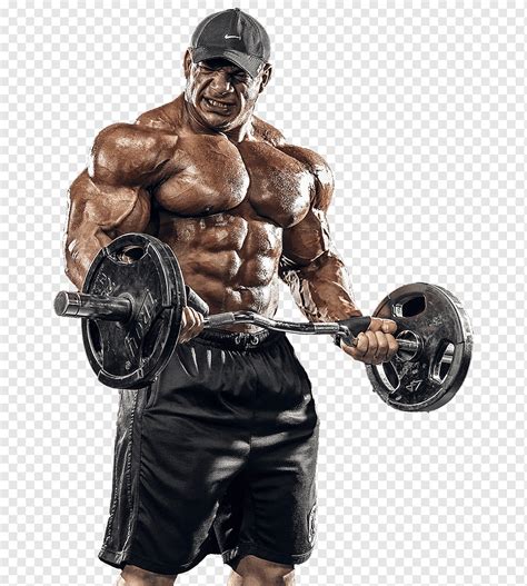 Homem Musculoso Muscula O Levantamento De Peso Png Pngwing