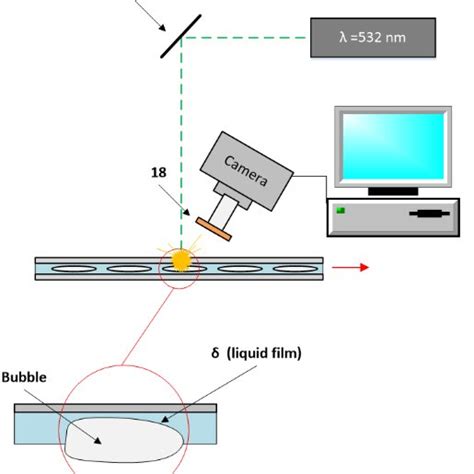 Schematic Diagram Of The Laser Induced Fluorescence Method Download Scientific Diagram