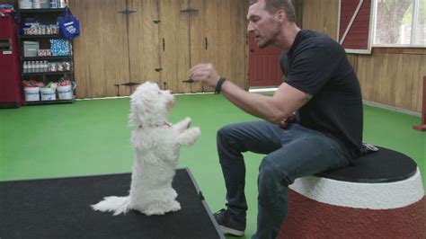 Watch Lucky Dog Season 5 Episode 3 Telecasted On 13 05 2020 Online