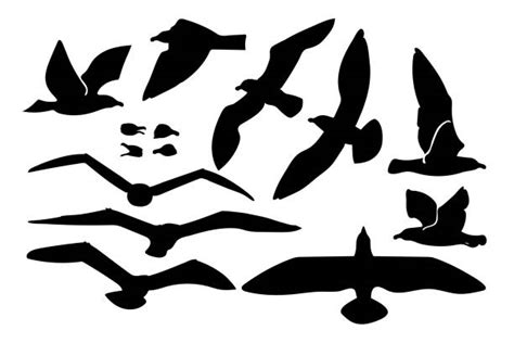 50+ Seagull Stencil Stock Illustrations, Royalty-Free Vector Graphics & Clip Art - iStock