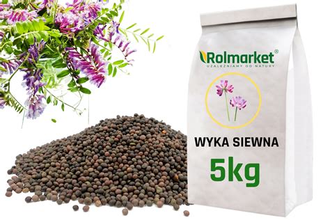 WYKA NA POPLON zielonkę nasiona poplonowe 5 kg MIESZANKA POPLOMOWA