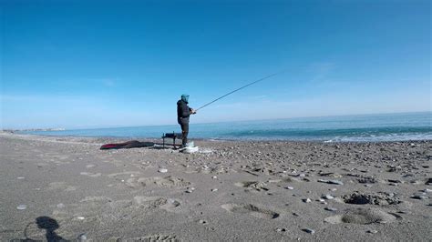 Bolognese Dalla Spiaggia E Dal Molo