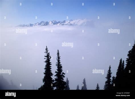 Mount Olympus Olympic National Park Washington State Stock Photo Alamy