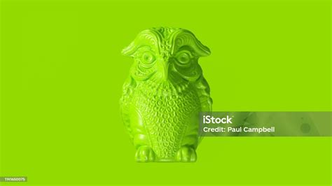 Lime Green Owl Greek Goddess Athenas Legendary Owl Bubo Stock Photo