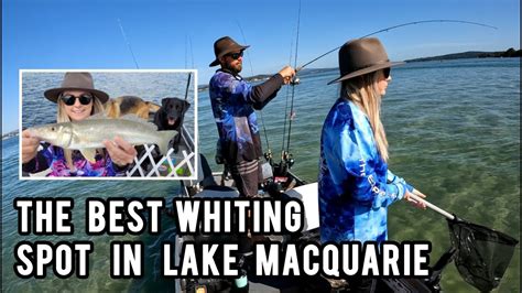 Lake Macquarie S Best Fishing Spot Let S Fish Lake Mac Comp Tinny