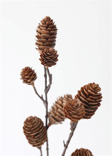 Fake Branch Stem With Pine Cones Shop Holiday Decorations Afloral