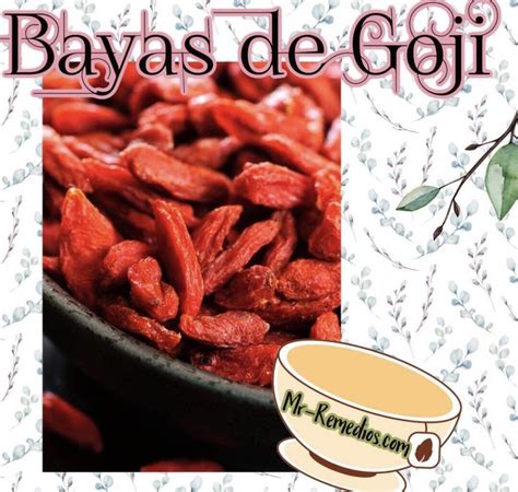 Goji Bayas Beneficios Propiedades Efectos Y Dosis