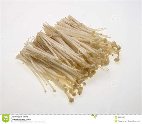 Fresh Enoki Mushrooms On A Light Pink Background Stock Photography