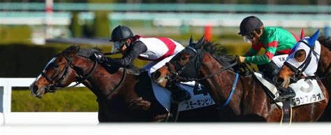 【阪神2r】武豊 スモーキンビリーが初勝利 その他競技 スポーツブル スポブル