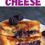 Blackberry Brie Grilled Cheese Sandwich