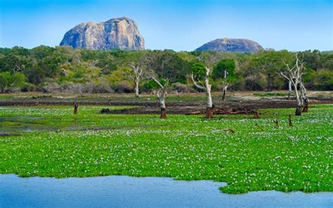 Private Rundreise Sri Lanka Nature Wildlife Optionale