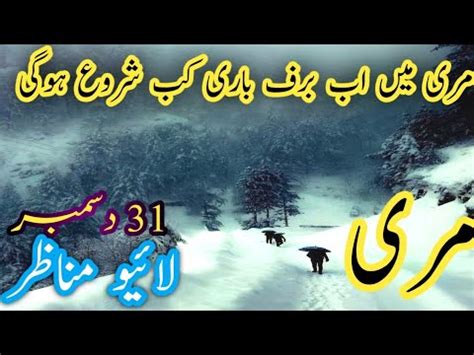 Murree Live Today Weather News Ayubia Nathiagali Live Snowfall Heavy