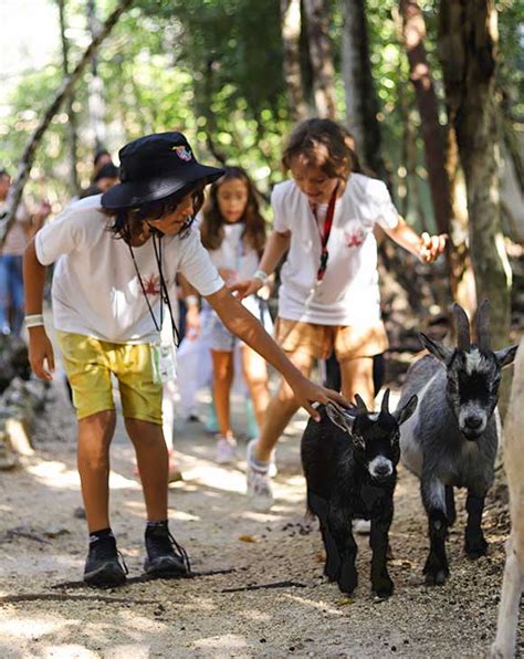 Educación Ambiental Fundación Santuario Akumal