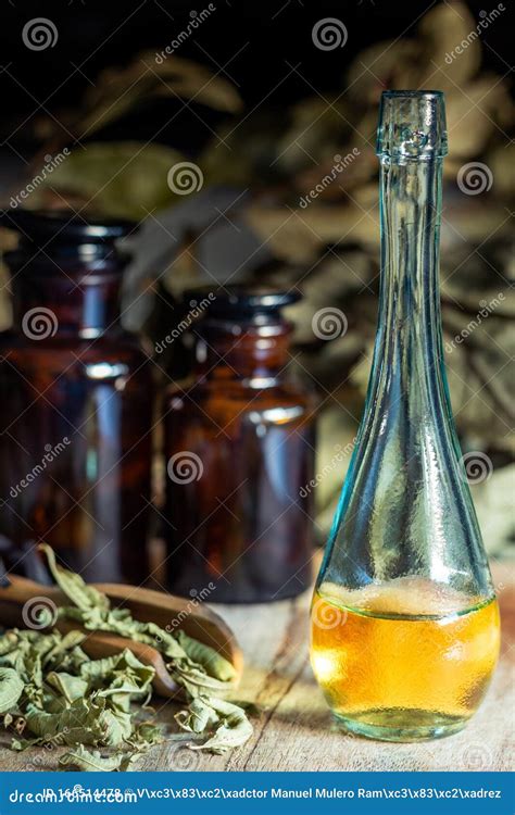 Oil And Extract Of Herbs And Aromatic Medicinal Plants Stock Photo