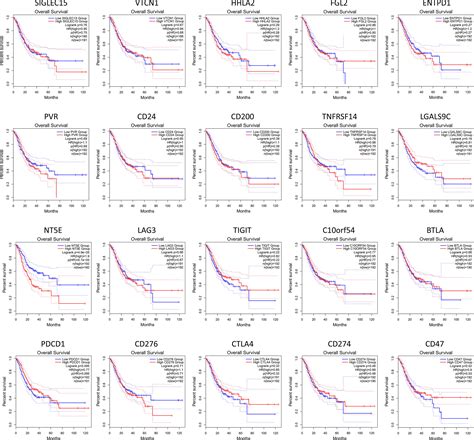 Frontiers Adenosine Signaling Optimal Target For Gastric Cancer