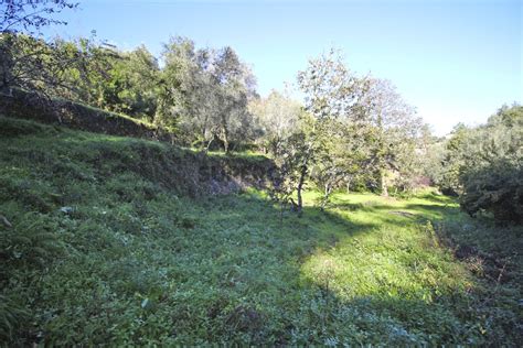 Quintas e casas rústicas Quintinha T1 à venda em Raiva Pedorido e