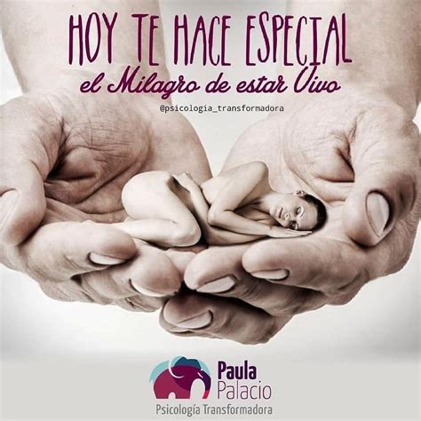 El Milagro De La Vida Vida Milagro Reflexión Amor Felicidad