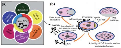 Zno Nano Micro Letters