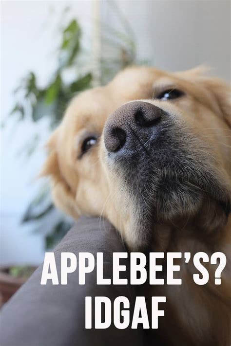 17 Problems Every Type B Person Will Understand