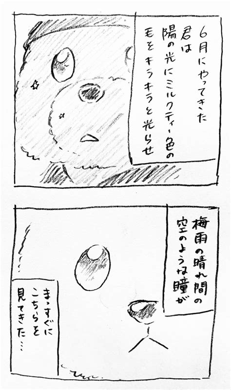 「はじめまして🧸🧸 」はした🐢の漫画