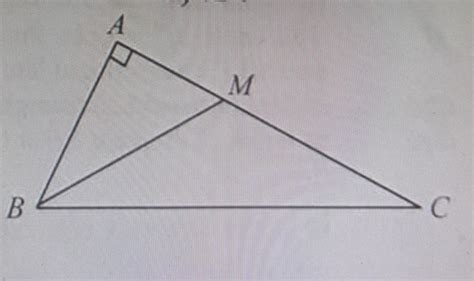 Figura Alăturată Este Reprezentat Triunghiul Dreptunghic Abc Cu Bac