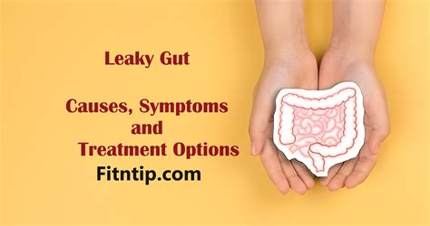 Understanding Leaky Gut Causes Symptoms And Treatment Options Fitntip