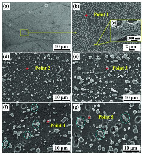 The Sem Micrographs Of The Slm Fabricated Alsi10mg Alloy Under