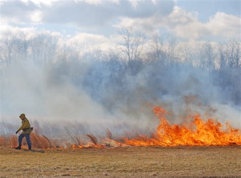 Prescribed Burns Learn The Benefits Texas Landowners Association