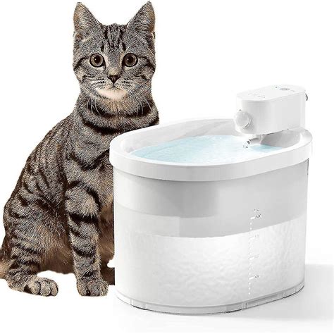 Fuente de gato Fuente inalámbrica a batería Fuente de agua automática