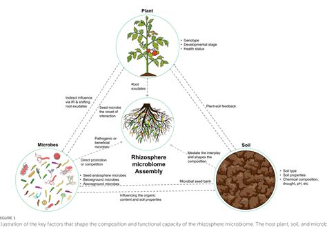 Figure From Recruitment Of The Rhizo Microbiome Army Assembly