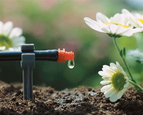 Cómo elegir un sistema de riego para el jardín Soutelana