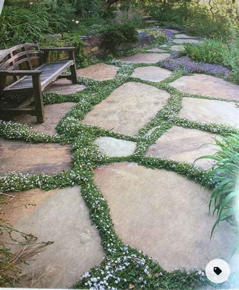 Pin By Renee Admire On Backyard Ground Ideas Garden Pathway Garden