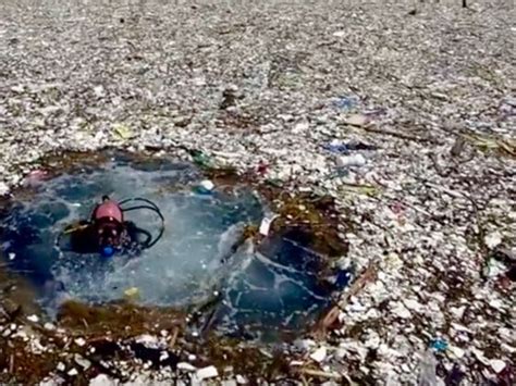 This Photographer Disovered a 2-Mile Long Trash Island in the Caribbean