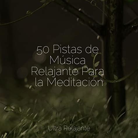 Amazon Music Natureza Musica Bem Estar Academia Meditacion Budista