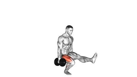 Dumbbell Single Leg Squat Video Guide And Tips