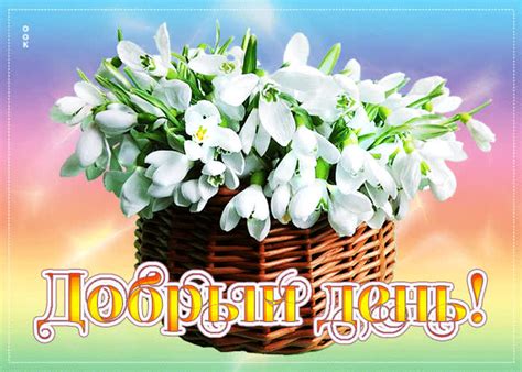 Уникальная открытка с букетом Добрый день - Скачать бесплатно на ...